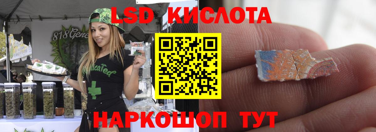Лсд 25 экстази ecstasy  Вход с VPN  Шадринск 