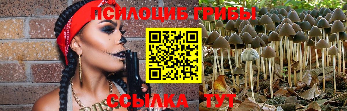 Шадринск  Галлюциногенные грибы Psilocybine cubensis  Вход с VPN  Псилоцибиновые грибы мухоморы 
